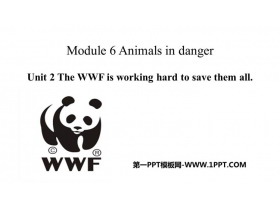 The WWF is working hard to save them allAnimals in danger PPTMn