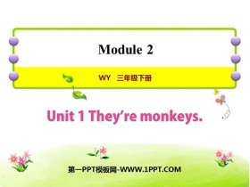 They are monkeysPPTMd
