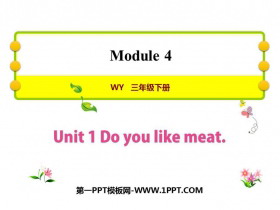 Do you like meat?PPTMn
