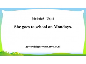 She goes to school on MondaysPPTMn