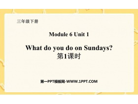 What do you do on Sundays?PPTμ(1ʱ)