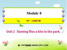 Daming flies a kite in the parkPPTѿμ