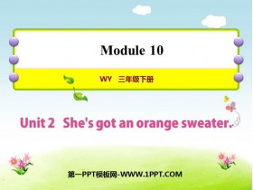 She's got an orange sweaterPPTMn