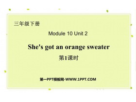She's got an orange sweaterPPTμ(1ʱ)
