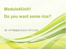 Do you want some rice?PPTMn