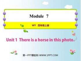 There is a horse in this photoPPT|n