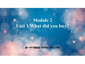 What did you buy?PPT|n