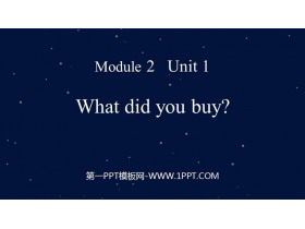 What did you buy?PPTμ