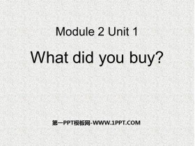 What did you buy?PPTѿμ