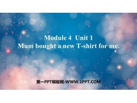 Mum bought a new T-shirt for mePPTMn