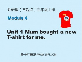 Mum bought a new T-shirt for mePPT