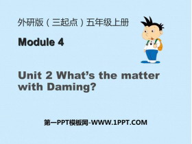 What's the matter with Daming?PPT
