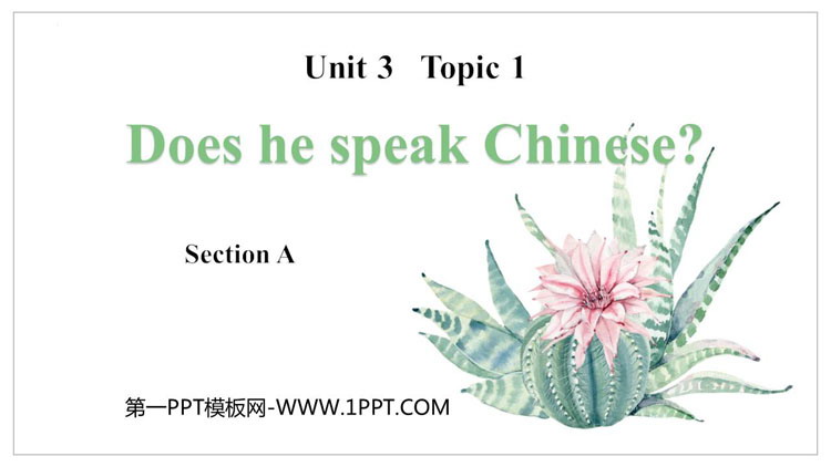 Does he speak Chinese?SectionA PPTn