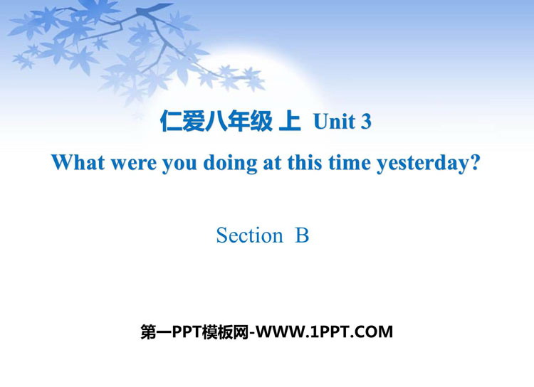 《What were you doing at this time yesterday?》SectionB PPT课件-预览图01