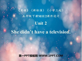 She didn't have a televisionPPT|n