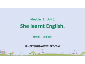 She learnt EnglishPPT|n