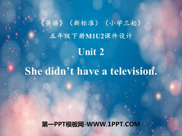 She didn\t have a televisionPPT|n