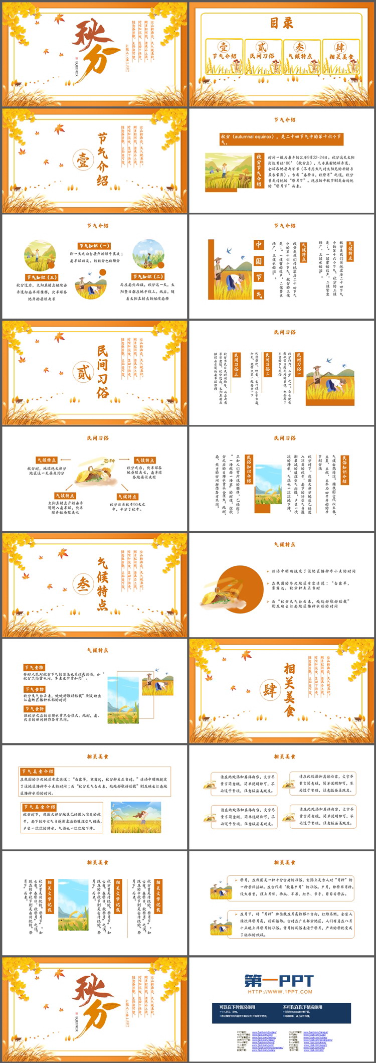 金色银杏叶与芦苇背景的秋分节气介绍PPT模板