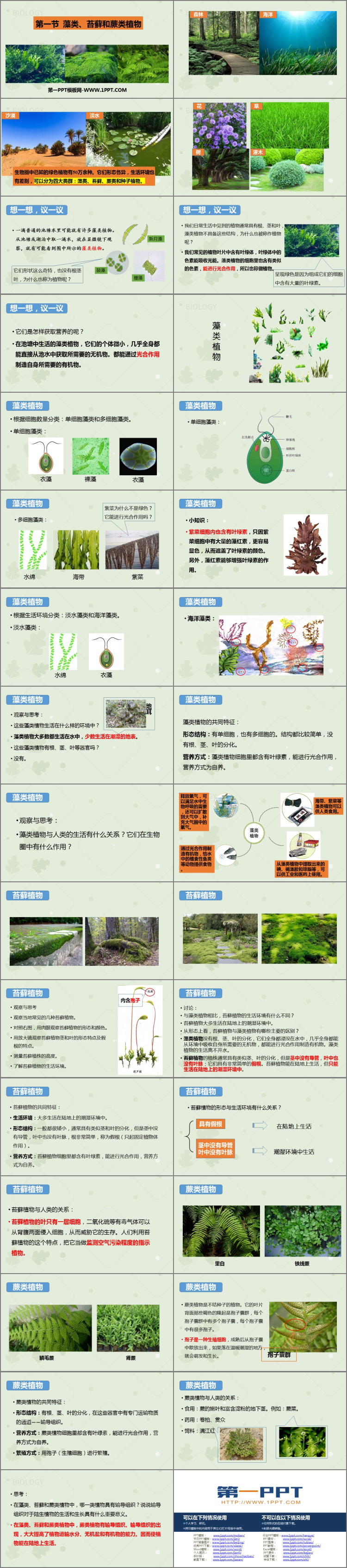 《藻类、苔藓和蕨类植物》PPT优质课件-预览图02