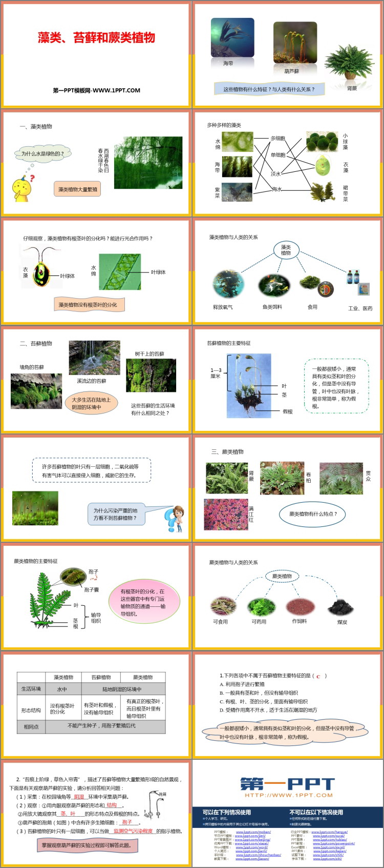 《藻类、苔藓和蕨类植物》PPT教学课件下载