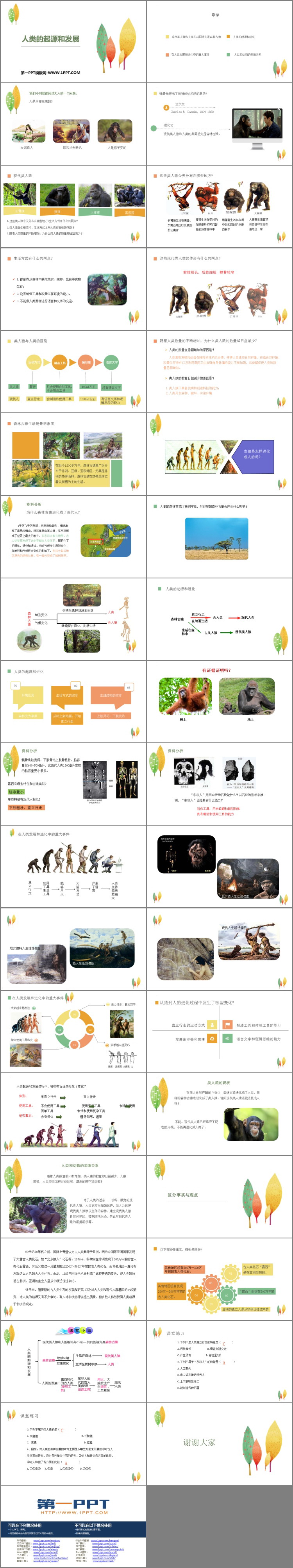 《人类的起源和发展》PPT优质课件-预览图02
