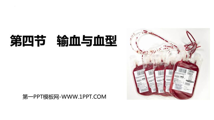 《输血与血型》PPT免费下载