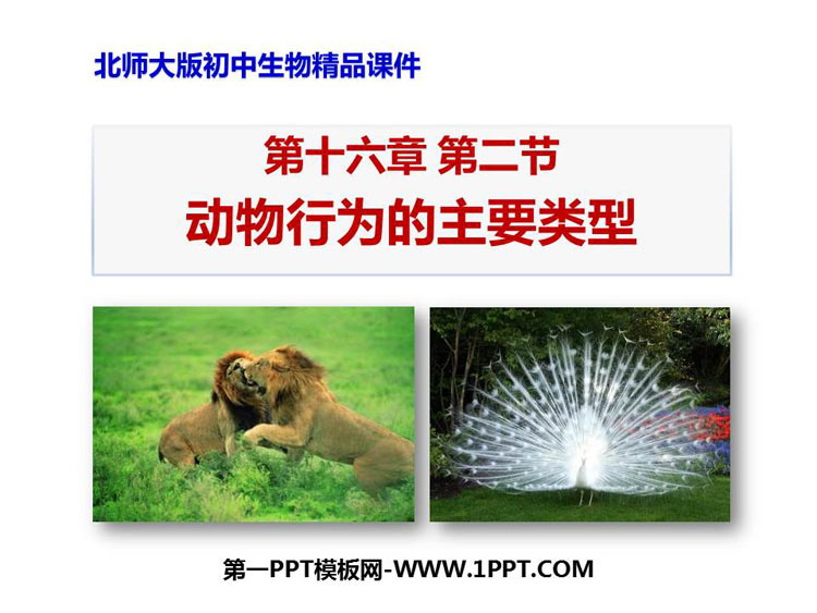 《动物行为的主要类型》PPT免费课件下载