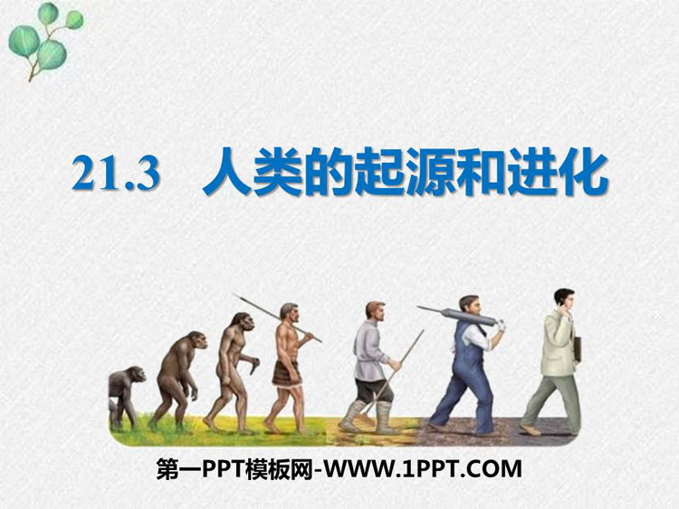 《人类的起源和进化》PPT优秀课件下载-预览图01
