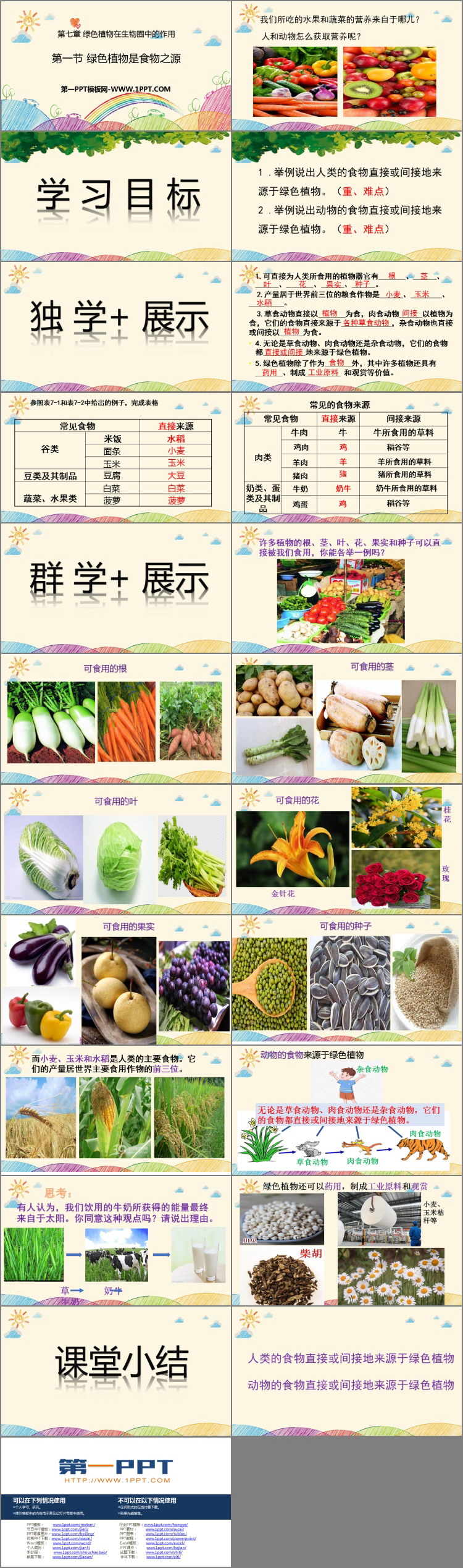 《绿色植物是食物之源》PPT免费课件-预览图02