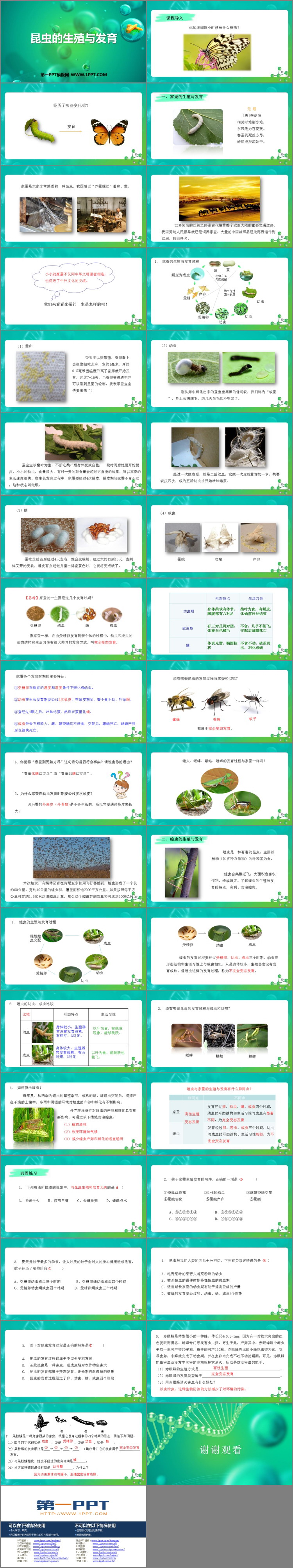 《昆虫的生殖与发育》PPT优秀课件-预览图02