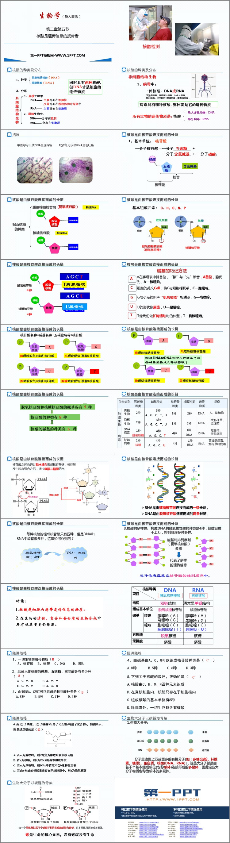 《核酸是遗传信息的携带者》组成细胞的分子PPT教学课件-预览图02