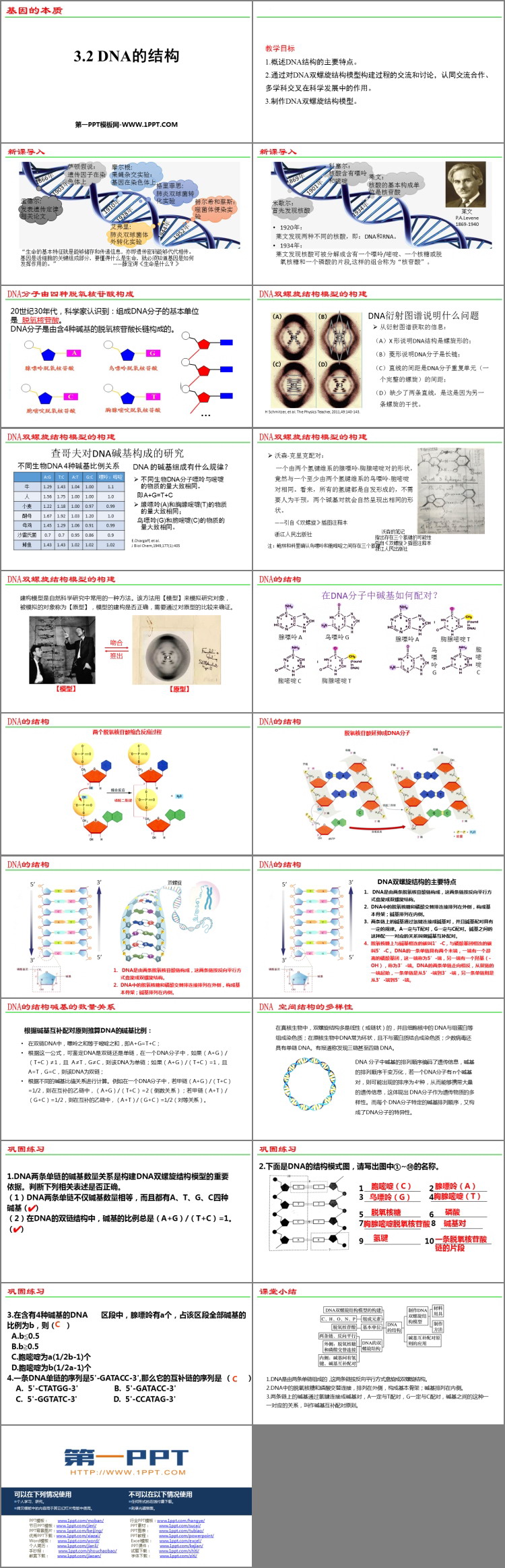 《DNA的结构》基因的本质PPT教学课件-预览图02