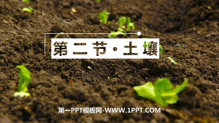 《土壤》植被与土壤PPT下载-预览图01