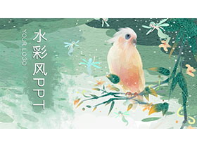 水彩鹦鹉背景的插画风PPT模板免费下载