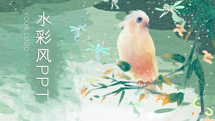 水彩鹦鹉背景的插画风PPT模板免费下载