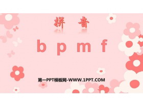 《bpmf》PPT教学课件