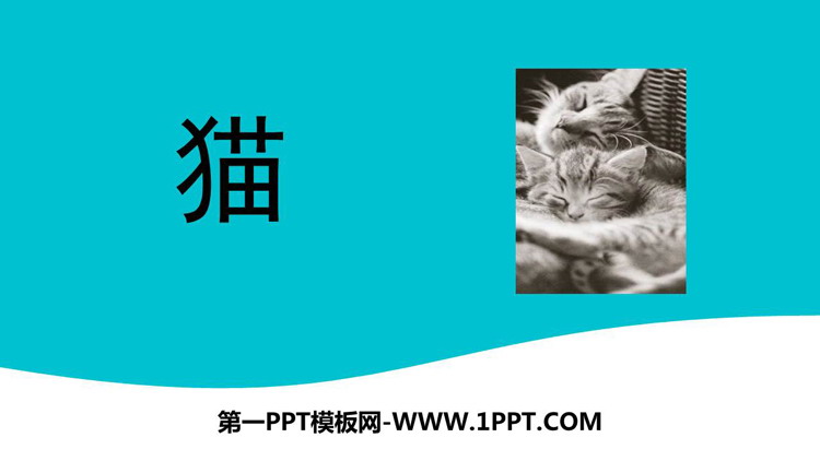 《猫》PPT免费精品课件-预览图01