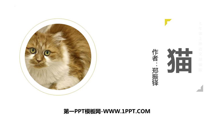 《猫》PPT免费课文课件-预览图01