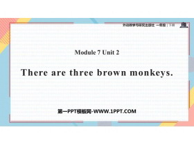 There are three brown monkeysPPTѧμ