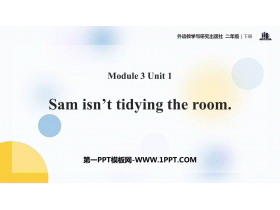 Sam isn't tidying his roomPPTμ