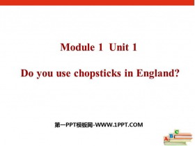 Do you use chopsticks in EnglandPPTμ