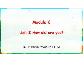 How old are you?PPT|nd