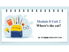 Where's the cat?PPT|n