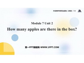 How many apples are there in the box?PPTμ