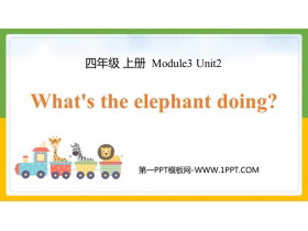 What's the elephant doing?PPTMn