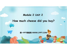 How much cheese did you buy?PPTƷn