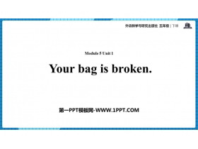 Your bag is brokenPPTnd