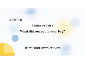 What did you put in your bag?PPTѿμ