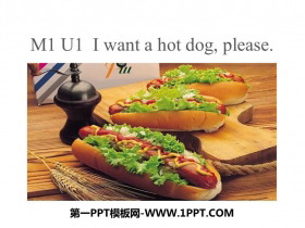 I want a hot dog,plaesePPTMn