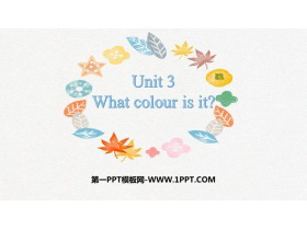 What colour is it?PPTѧμ